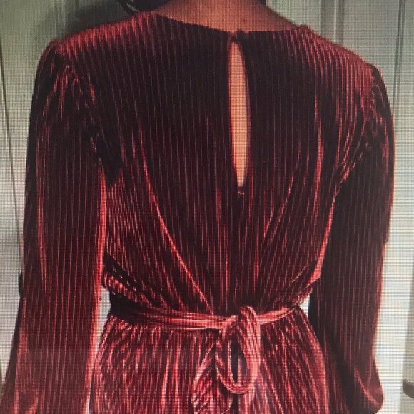 Ali & Jay Velvet Belted Jumpsuit Size Small Pants Pleated Wide Leg - Picture 3 of 4